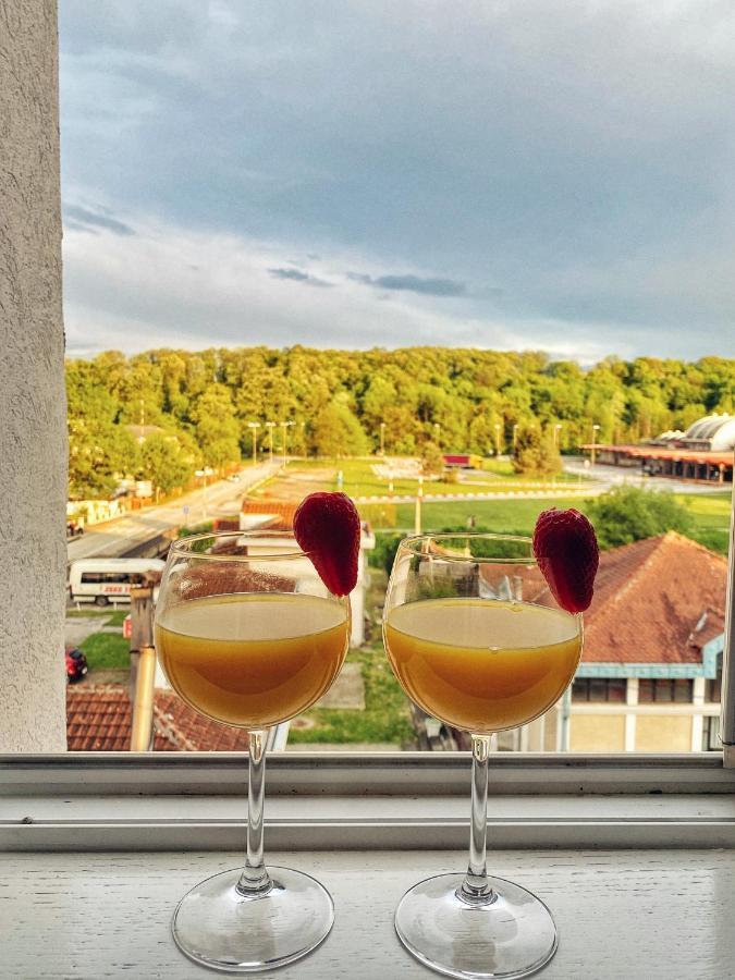 Apartmani Banja Spa Vrnjačka Banja المظهر الخارجي الصورة