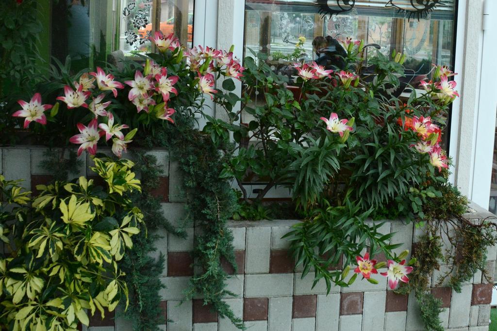 Apartmani Banja Spa Vrnjačka Banja المظهر الخارجي الصورة